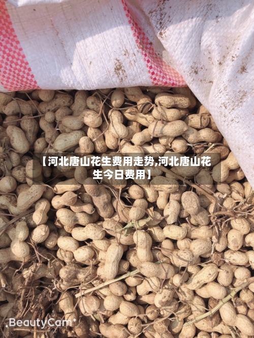 【河北唐山花生费用走势,河北唐山花生今日费用】-第2张图片