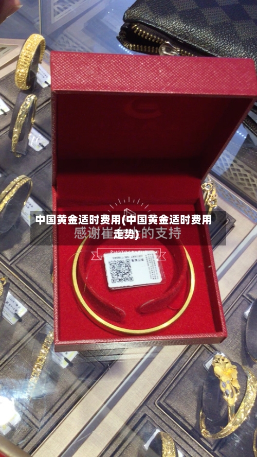 中国黄金适时费用(中国黄金适时费用走势)-第2张图片