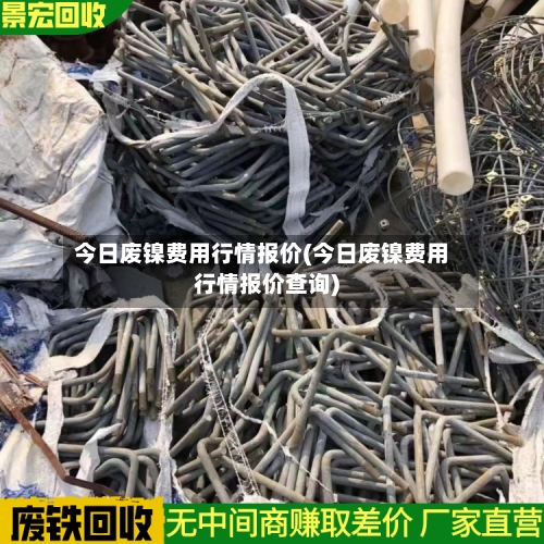 今日废镍费用行情报价(今日废镍费用行情报价查询)