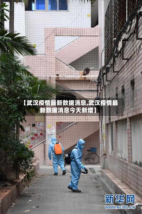 【武汉疫情最新数据消息,武汉疫情最新数据消息今天新增】-第2张图片