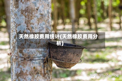 天然橡胶费用统计(天然橡胶费用分析)-第2张图片