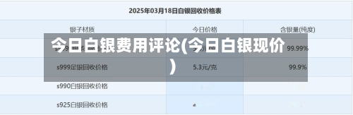今日白银费用评论(今日白银现价)