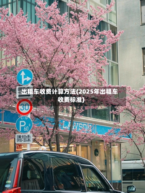 出租车收费计算方法(2025年出租车收费标准)-第2张图片