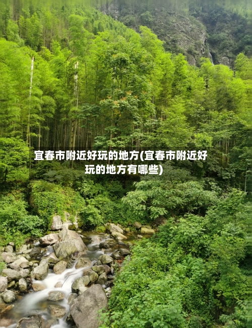 宜春市附近好玩的地方(宜春市附近好玩的地方有哪些)