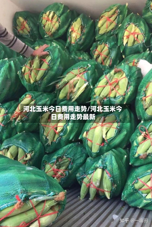 河北玉米今日费用走势/河北玉米今日费用走势最新-第2张图片