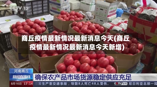 商丘疫情最新情况最新消息今天(商丘疫情最新情况最新消息今天新增)