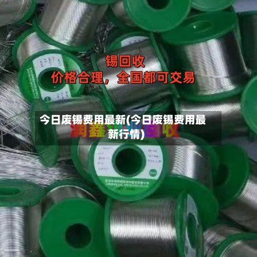 今日废锡费用最新(今日废锡费用最新行情)-第2张图片