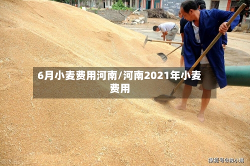 6月小麦费用河南/河南2021年小麦费用-第3张图片