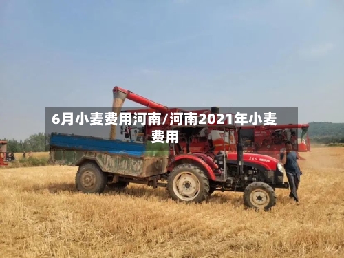 6月小麦费用河南/河南2021年小麦费用