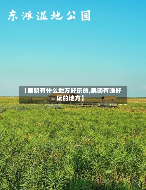 【崇明有什么地方好玩的,崇明有啥好玩的地方】