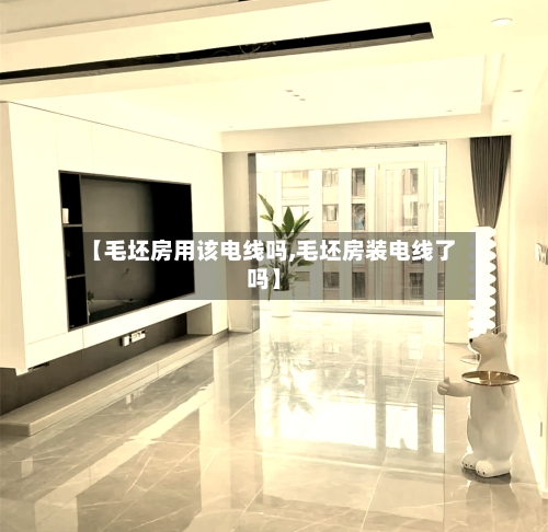 【毛坯房用该电线吗,毛坯房装电线了吗】