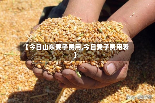 【今日山东麦子费用,今日麦子费用表】
