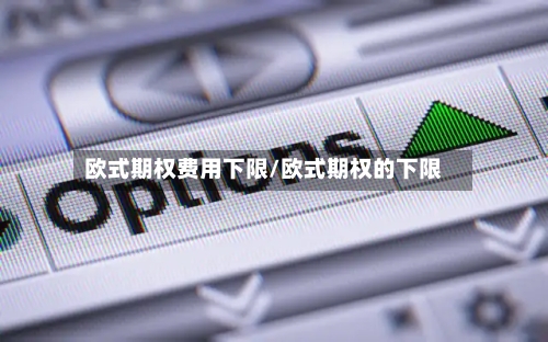 欧式期权费用下限/欧式期权的下限