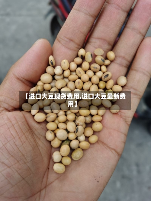 【进口大豆现货费用,进口大豆最新费用】