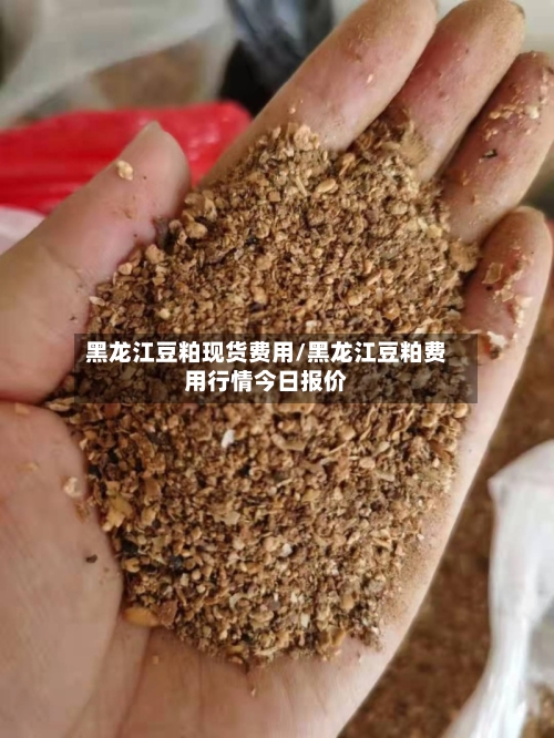黑龙江豆粕现货费用/黑龙江豆粕费用行情今日报价