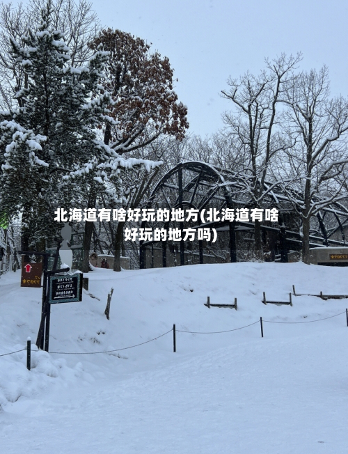 北海道有啥好玩的地方(北海道有啥好玩的地方吗)