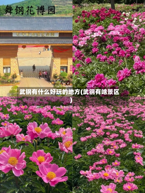 武钢有什么好玩的地方(武钢有啥景区)