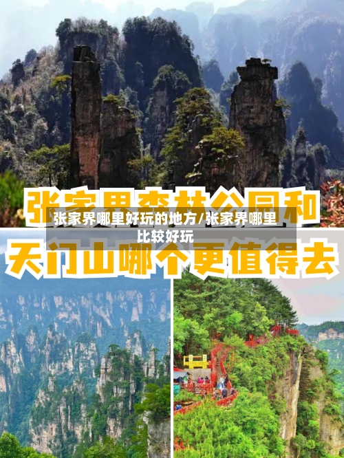 张家界哪里好玩的地方/张家界哪里比较好玩-第3张图片