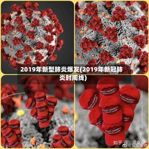 2019年新型肺炎爆发(2019年新冠肺炎时间线)