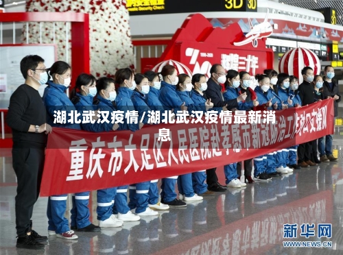 湖北武汉疫情/湖北武汉疫情最新消息-第2张图片