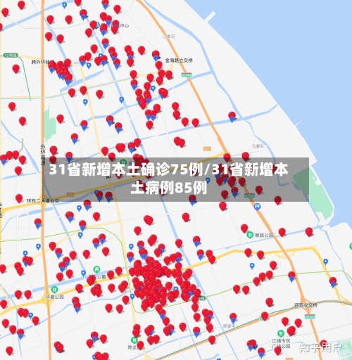 31省新增本土确诊75例/31省新增本土病例85例