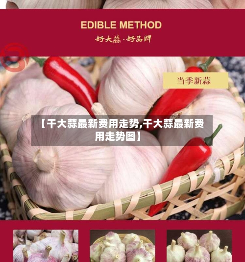 【干大蒜最新费用走势,干大蒜最新费用走势图】-第2张图片