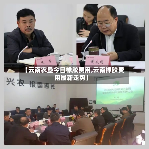 【云南农垦今日橡胶费用,云南橡胶费用最新走势】
