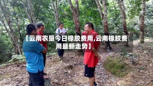 【云南农垦今日橡胶费用,云南橡胶费用最新走势】-第3张图片