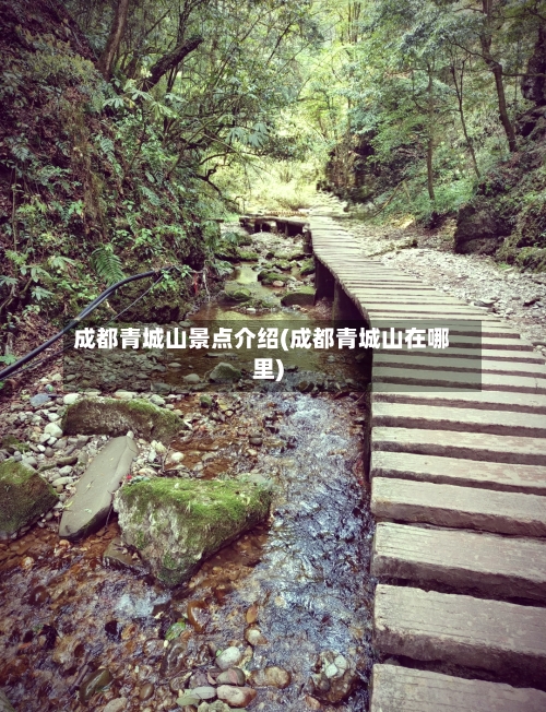 成都青城山景点介绍(成都青城山在哪里)-第2张图片