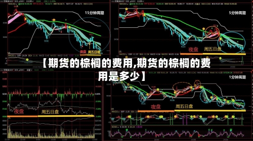【期货的棕榈的费用,期货的棕榈的费用是多少】-第2张图片