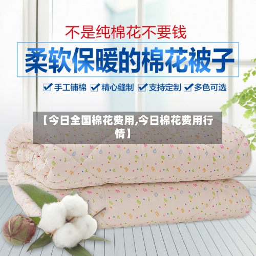 【今日全国棉花费用,今日棉花费用行情】
