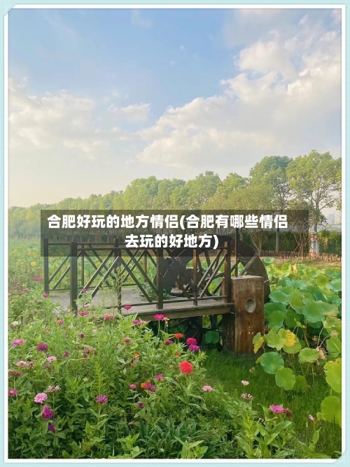 合肥好玩的地方情侣(合肥有哪些情侣去玩的好地方)-第2张图片