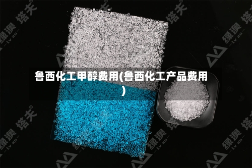 鲁西化工甲醇费用(鲁西化工产品费用)-第3张图片
