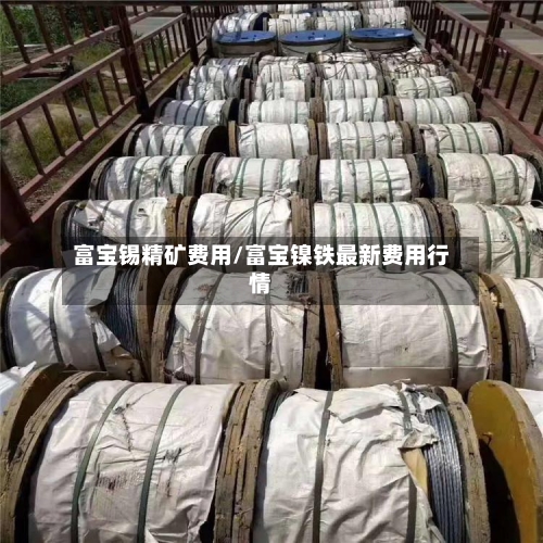 富宝锡精矿费用/富宝镍铁最新费用行情-第2张图片
