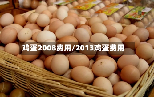 鸡蛋2008费用/2013鸡蛋费用