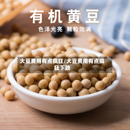 大豆费用有点疯狂/大豆费用有点疯狂下跌-第2张图片