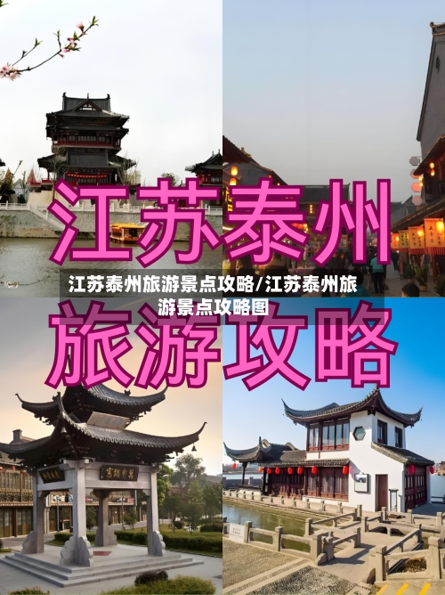 江苏泰州旅游景点攻略/江苏泰州旅游景点攻略图-第3张图片