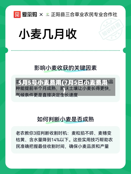 5月5号小麦费用(7月5日小麦费用)