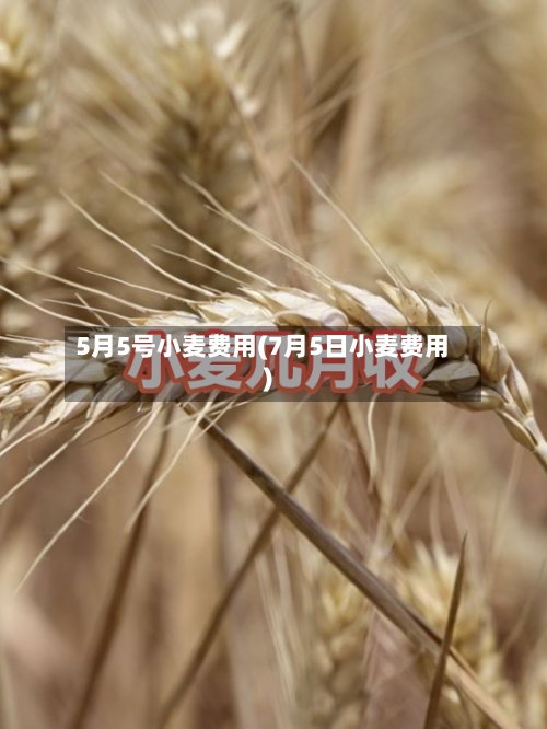 5月5号小麦费用(7月5日小麦费用)-第2张图片