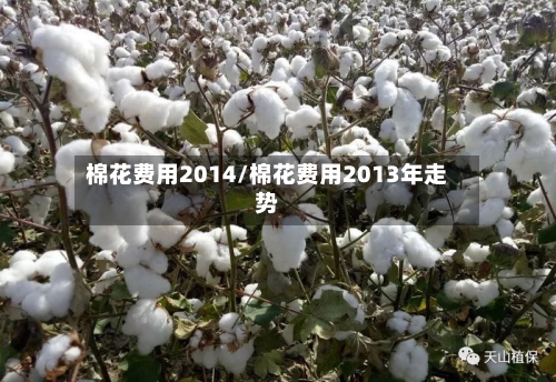 棉花费用2014/棉花费用2013年走势
