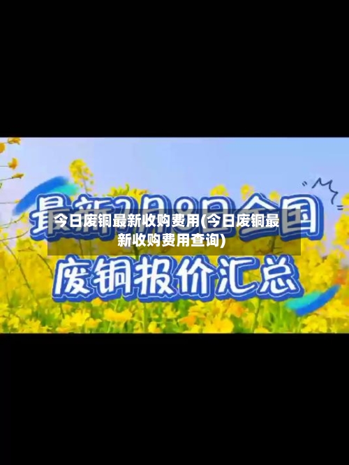 今日废铜最新收购费用(今日废铜最新收购费用查询)-第2张图片