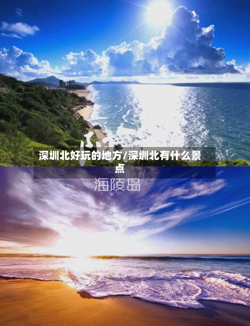 深圳北好玩的地方/深圳北有什么景点-第3张图片