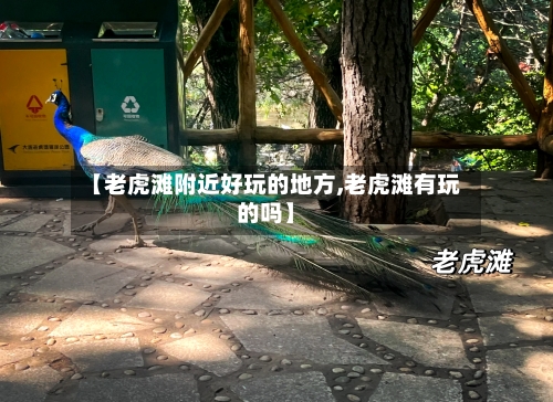 【老虎滩附近好玩的地方,老虎滩有玩的吗】-第3张图片