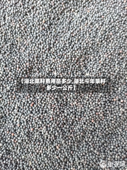 【湖北莱籽费用是多少,湖北今年菜籽多少一公斤】-第3张图片