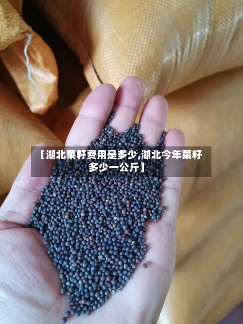 【湖北莱籽费用是多少,湖北今年菜籽多少一公斤】-第2张图片