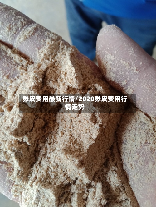麸皮费用最新行情/2020麸皮费用行情走势