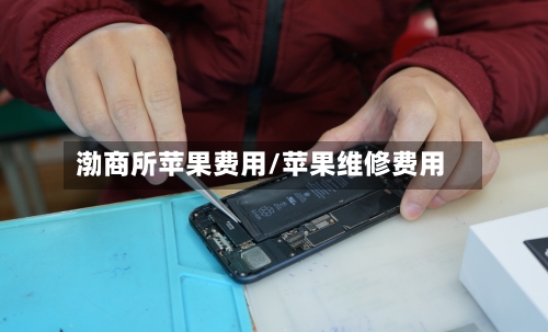 渤商所苹果费用/苹果维修费用-第2张图片