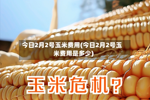 今日2月2号玉米费用(今日2月2号玉米费用是多少)-第2张图片
