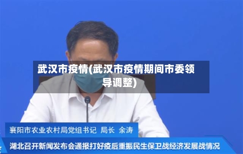 武汉市疫情(武汉市疫情期间市委领导调整)