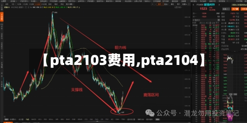 【pta2103费用,pta2104】